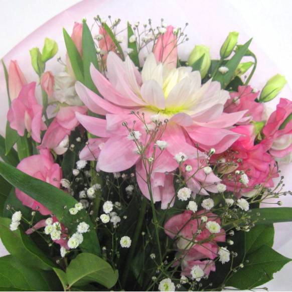 一般カテゴリー,《Bouquet》Spring Sweet Love,花樹園