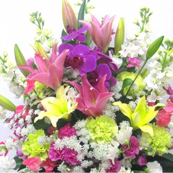 一般カテゴリー,《Funal arrangement》Spring Bright,花樹園