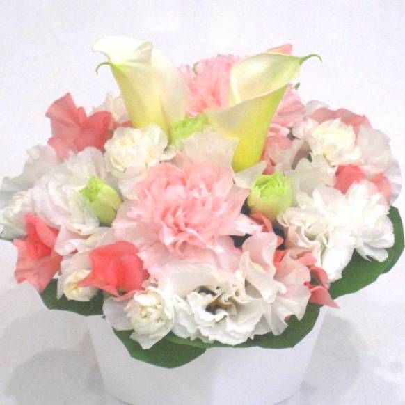 一般カテゴリー,《Funal arrangement》Spring Memorial Peach,花樹園