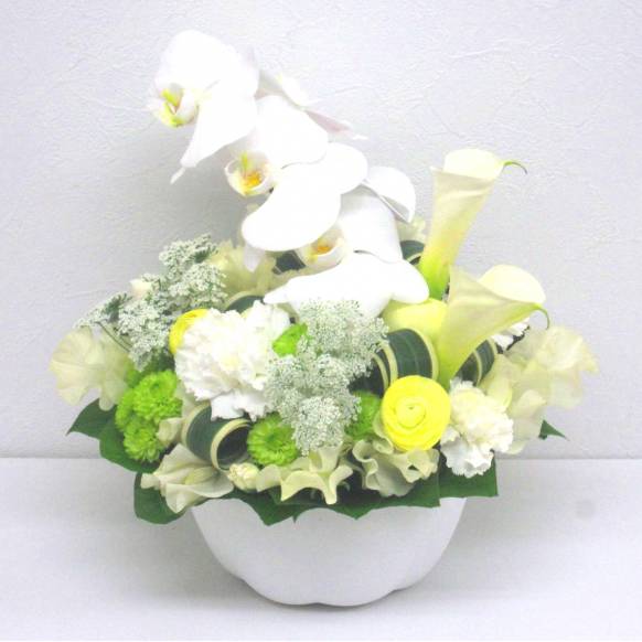 《Funal arrangement》Spring Memory一般カテゴリー