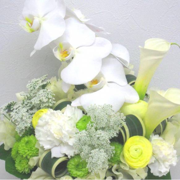 一般カテゴリー,《Funal arrangement》Spring Memory,花樹園