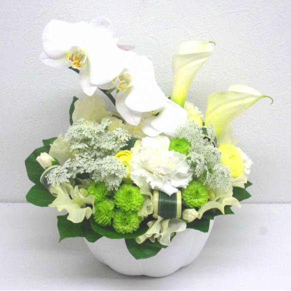 一般カテゴリー,《Funal arrangement》Spring Memory,花樹園