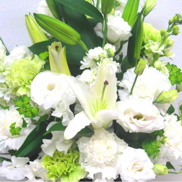 一般カテゴリー,《Funal arrangement》Spring White & Green,花樹園