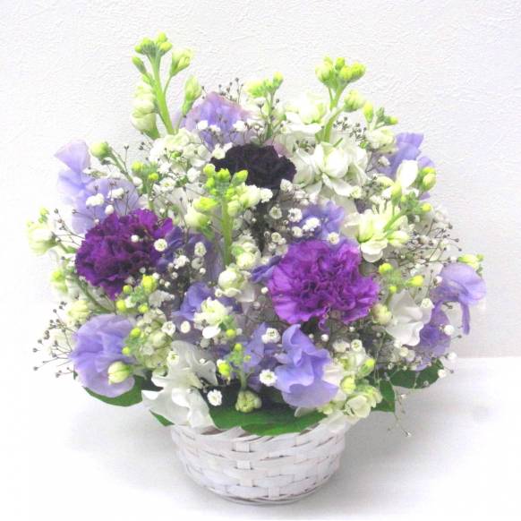 《Funal arrangement》Spring Moondust Memory一般カテゴリー