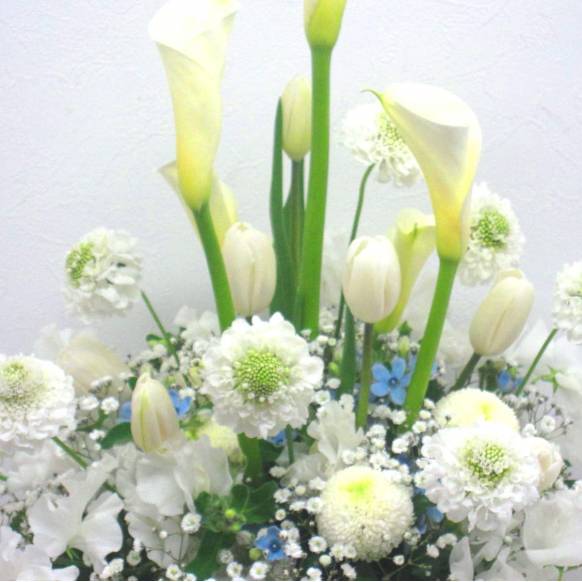 一般カテゴリー,《Funal arrangement》Spring Memory Natural White,花樹園
