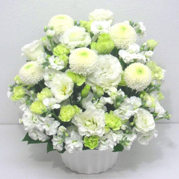 《Funal arrangement》Spring Memory Pompon White一般カテゴリー