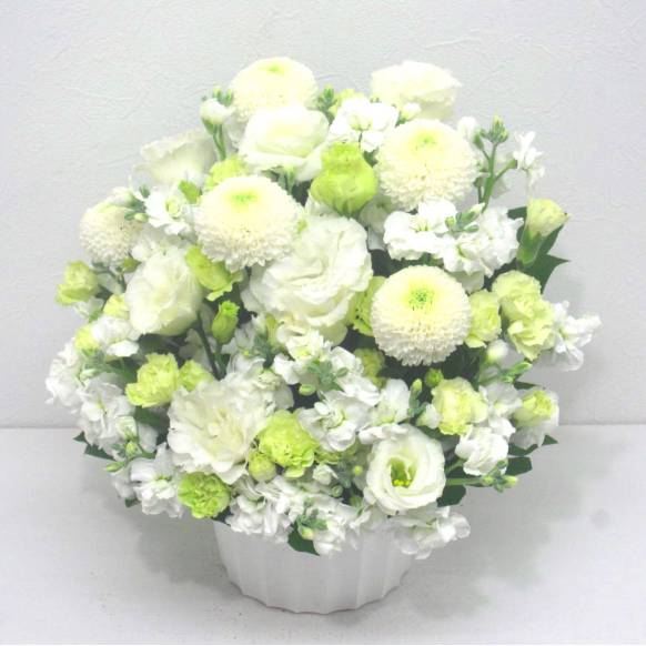 一般カテゴリー,《Funal arrangement》Spring Memory Pompon White,花樹園