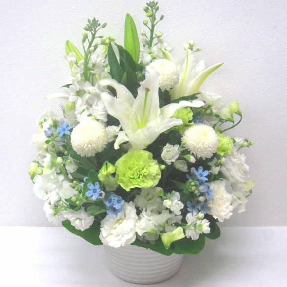 《Funal arrangement》Spring White & Blue Memory一般カテゴリー