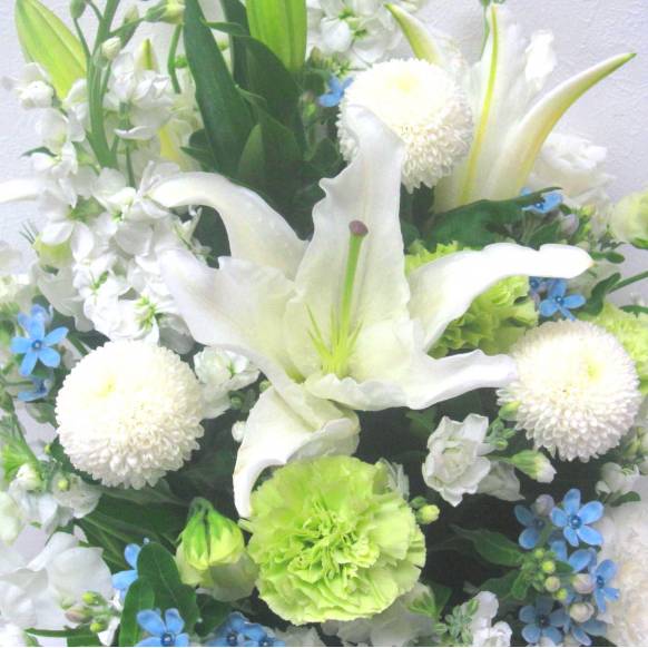 一般カテゴリー,《Funal arrangement》Spring White & Blue Memory,花樹園