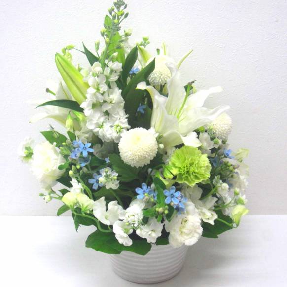 一般カテゴリー,《Funal arrangement》Spring White & Blue Memory,花樹園