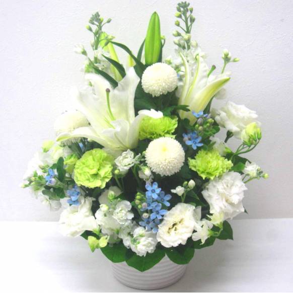 一般カテゴリー,《Funal arrangement》Spring White & Blue Memory,花樹園