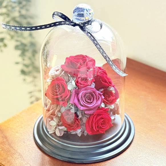 《Preserved Flower》Special Dome Luxury Roze一般カテゴリー