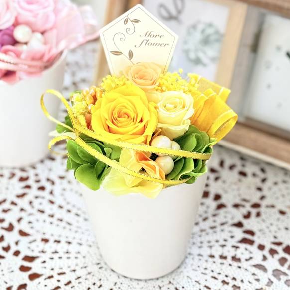 《Preserved Flower》Yellow Island一般カテゴリー