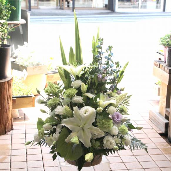 赤バラ60本の花束