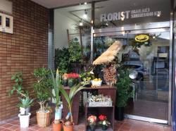 茨木春草園　本店