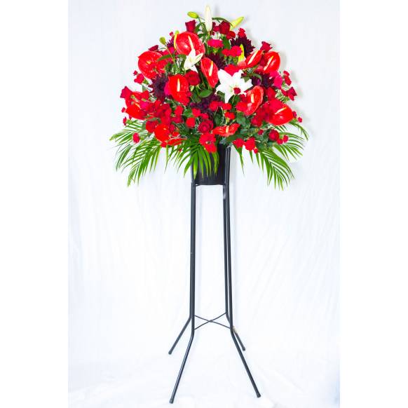 9002461【一般カテゴリー】赤系お花おまかせ御祝スタンド花