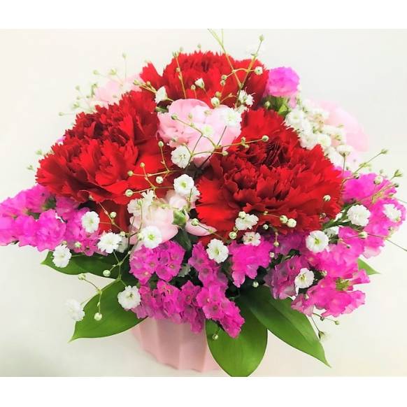 母の日用カーネーション赤のアレンジメント一般カテゴリー