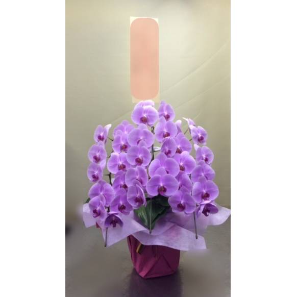 おまかせ花束 3000円(イエロー系)
