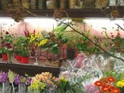 花柿生花