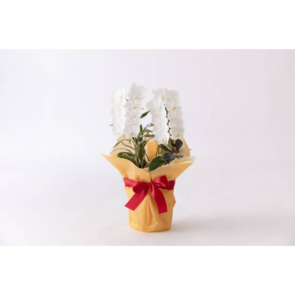 お取り寄せ オリジナルフラワー バラの花束｜花キューピット