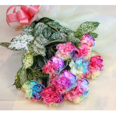 レインボーカーネーション【10本】の花束一般カテゴリー