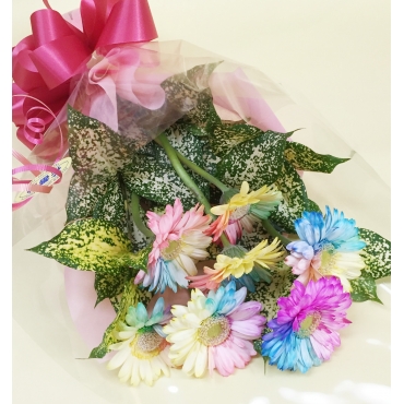 レインボーガーベラ【10本】の花束一般カテゴリー