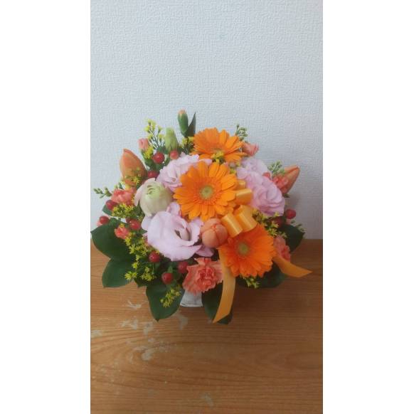 一般カテゴリー,カラフルゲイン,花言葉