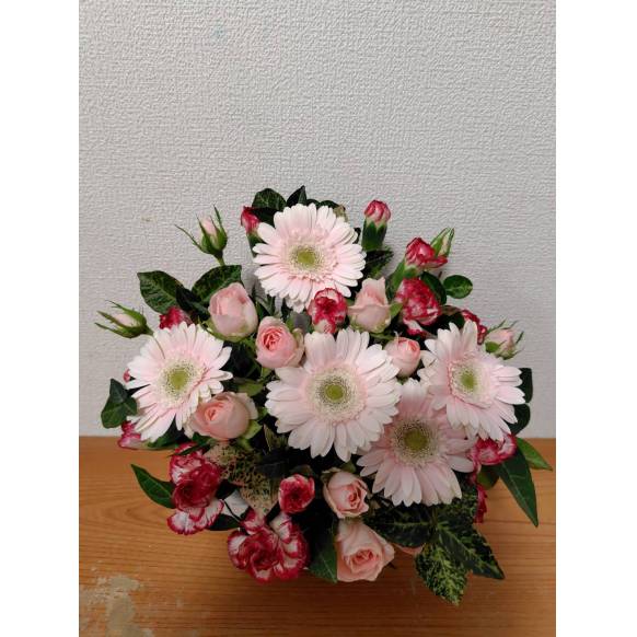 一般カテゴリー,キャンディ,花言葉