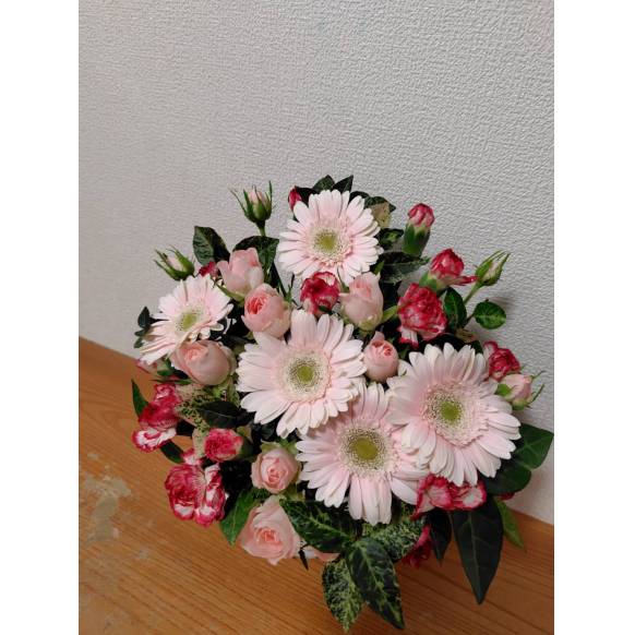 一般カテゴリー,キャンディ,花言葉