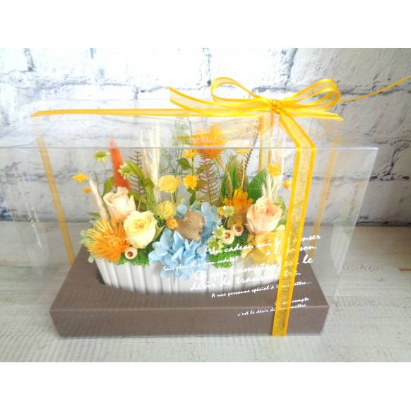 一般カテゴリー,ガーデンアレンジ・カピバラさんの水遊びイエロー,緑花園