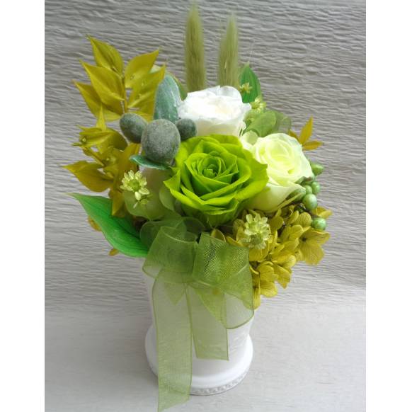 一般カテゴリー,プリザ・抹茶色,緑花園