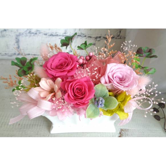 ぷりざ・ピンクとクローバー一般カテゴリー