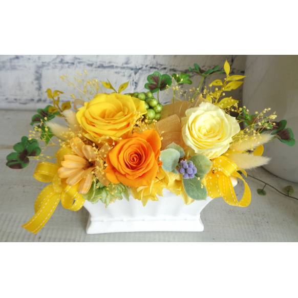 ぷりざ・イエローとクローバー一般カテゴリー