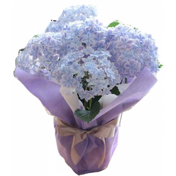 紫陽花 万華鏡（ブルー） 5号一般カテゴリー