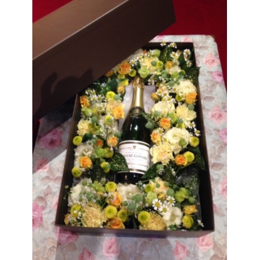 一般カテゴリー,【おまかせ】大人のBOXフラワー,グリンピース磯浜