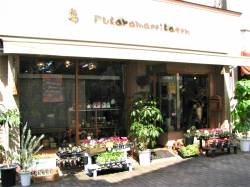 深山生花店