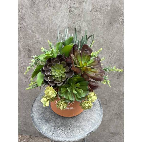 お取り寄せ オリジナルフラワー 多肉植物｜花キューピット・ フラワー