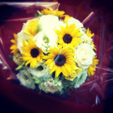 胡蝶蘭白3本立ち