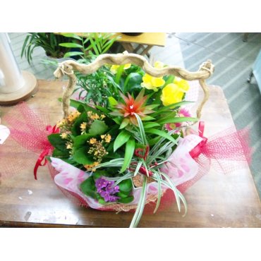 一般カテゴリー,季節の花鉢寄せカゴセット（ピック付）,花の店タケウチ